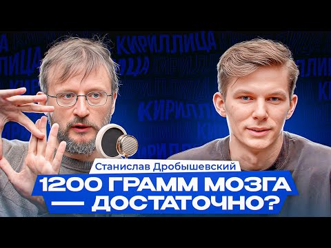 Видео: Хоббиты и Разумные еноты, 1200 грамм мозга достаточно? — Станислав Дробышевский