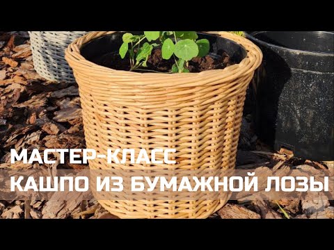 Видео: КАШПО ИЗ БУМАЖНЫХ ТРУБОЧЕК|ЛОЗАМАСТЕР