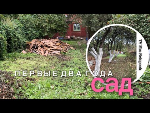 Видео: Расчистка  заброшенного сада. Первые два года.