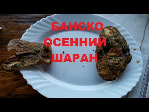 Видео: БАНСКО: ГОТОВИМСЯ К ОГРАНИЧЕНИЯМ