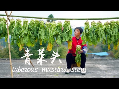 Видео: Зеленые кочаны превращаются в маринованные кочаны, приготовленное на пару мясо, суп