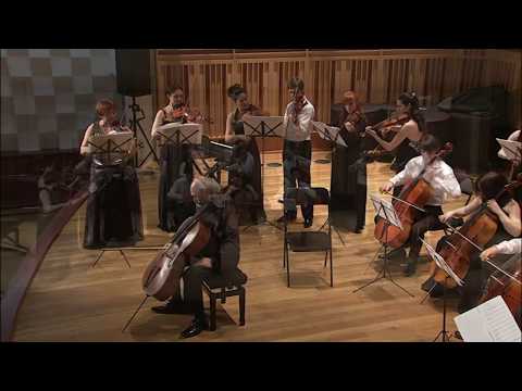 Видео: Haydn | Cello Concerto No. 1 | Mark Drobinsky | Bright Bows | Блестящие смычки