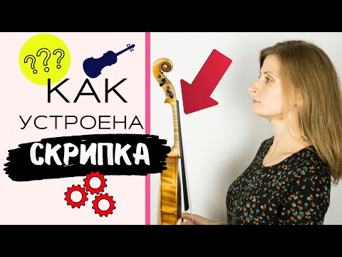 Видео: Строение Скрипки / Смычка