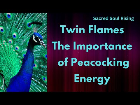 Видео: Близнецовые Пламена 🔥 Важность павлиньей энергии 🦚