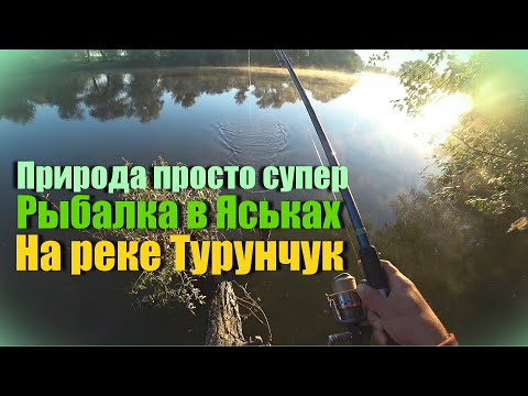 Видео: Рыбалка в Яськах на реке Турунчук 28.09.2021. Очень красивая природа.