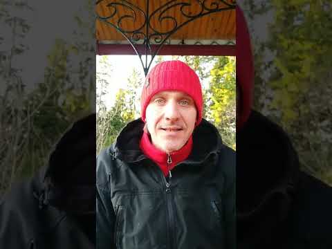 Видео: Юрий Батурин Прямой эфир с дачи Часть 3-я 😉