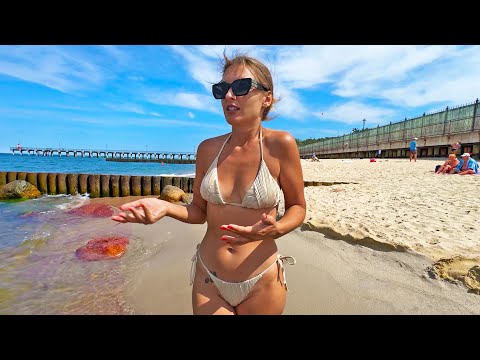 Видео: ДИКИЙ ПЛЯЖ БЕЗ ТУРИСТОВ. СВЕТЛОГОРСК 2024