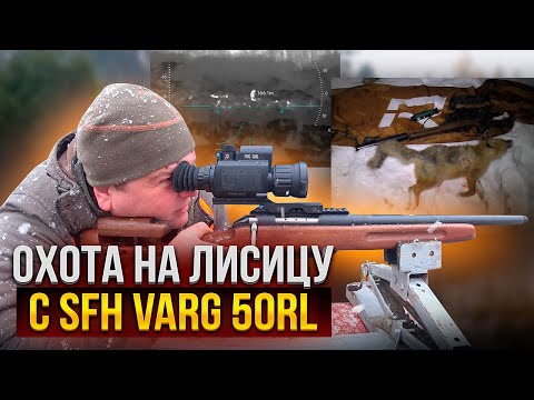 Видео: ОХОТА НА ЛИСИЦУ ЛОСЬ145-308 + SFH VARG 50RL