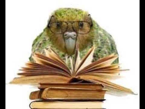 Видео: 🦜 К НАМ ЗАЛЕТЕЛА СТАРУХА ШАПОКЛЯК!