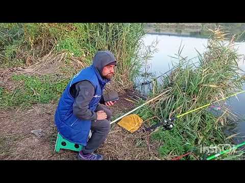 Видео: В ночь на понедельник 
