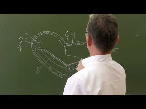 Видео: Фасциальные ложа и клетчаточные пространства кисти (правая кисть, поперечный разрез)