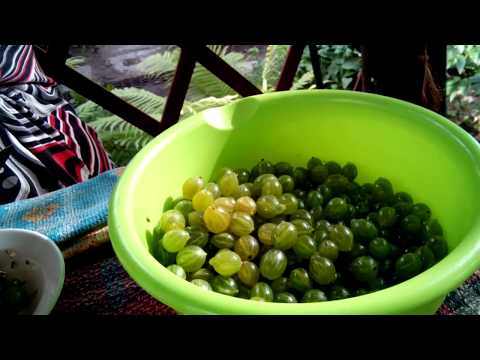 Видео: Варенье из крыжовника с лимоном.