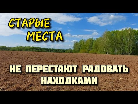 Видео: Старые места не перестают радовать находками. Коп 2024