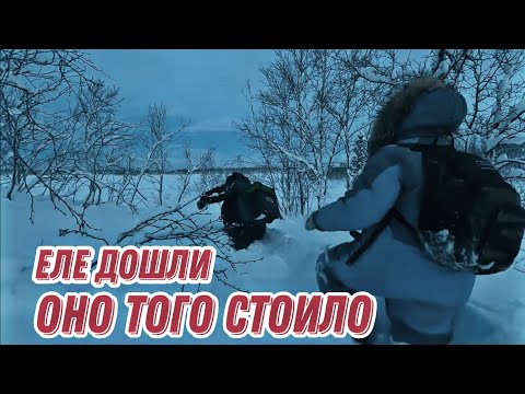 Видео: ПОКЛЁВКА за ПОКЛЁВКОЙ на тундровом озере. Такого мы не ОЖИДАЛИ.