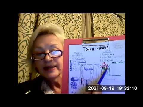 Видео: Лекція  - Тонка та товста кишка.