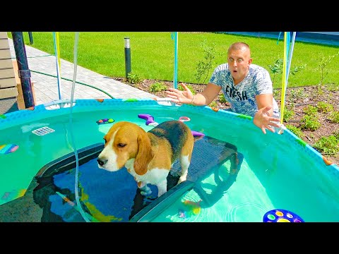Видео: ШЕРЛОК ВОДОПЛАВАЮЩИЙ ЩЕНОК. БРОС ШОУ ПЕТ