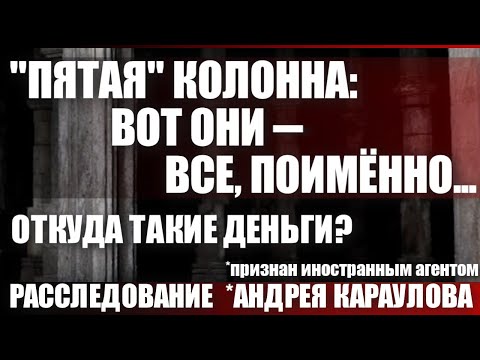 Видео: "Пятая колонна": вот они...