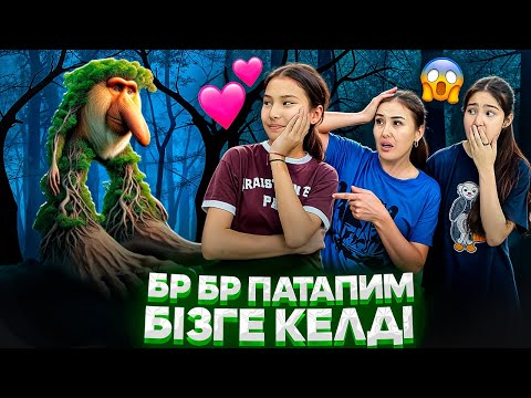 Видео: БР БР ПАТАПИМ БІЗГЕ КЕЛДІ🤯/АМИНА ЖАҚСЫ КӨРІП ҚАЛДЫ🤦‍♀️😳🤢#trend