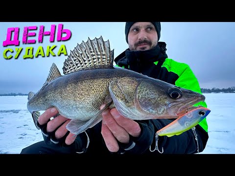 Видео: ✅ЗНАЙШЛИ!!! ГАРНІ СУДАКИ НА ВІБИ✅