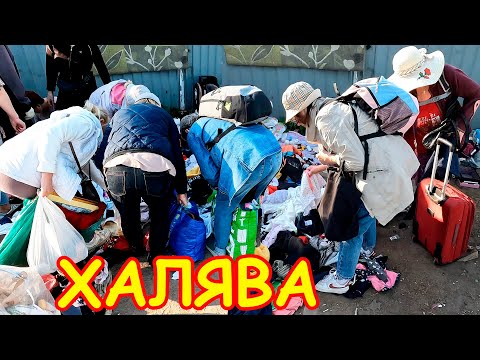 Видео: Хочешь БЕСПЛАТНО - Вам сюда! Поход на Барахолку Санкт-Петербурга. Блошиный рынок на Удельной