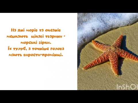 Видео: "Що ти знаєш про зірки?"