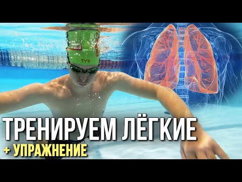 Видео: Как увеличить объём лёгких? Как задерживать дыхание надолго?