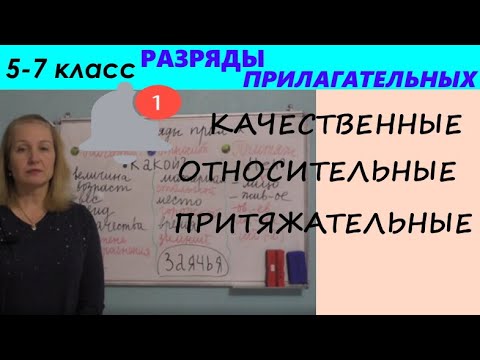 Видео: РАЗРЯДЫ ПРИЛАГАТЕЛЬНЫХ//КАЧЕСТВЕННЫЕ, ОТНОСИТЕЛЬНЫЕ, ПРИТЯЖАТЕЛЬНЫЕ