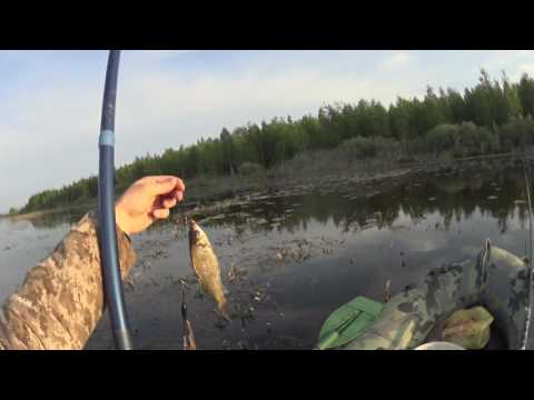 Видео: Озеро Большой Нарык (Тюмень, 26 мая 2016)