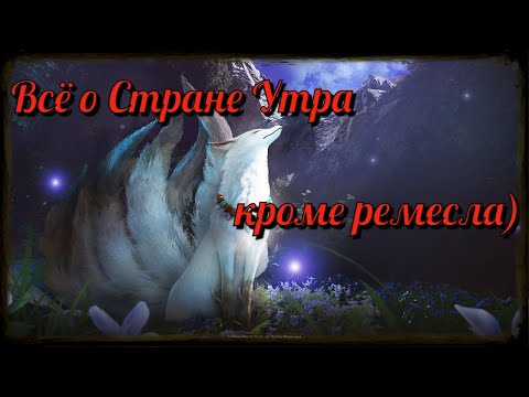 Видео: Black Desert / BD: Всё что нужно знать про Страну Утра (Бой - Черный Храм, Плюшки)