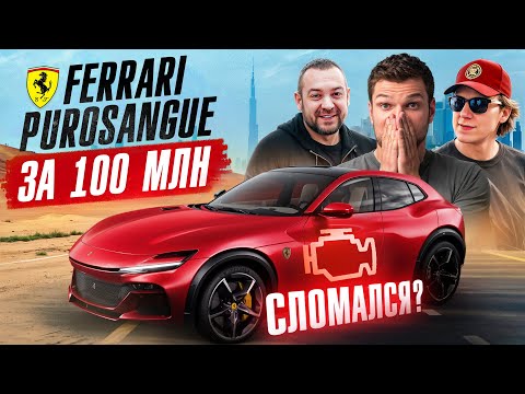 Видео: Тестируем НОВЫЙ Ferrari Purosangue! Коллекция Nissan GT-R. Давидыч и Kozloww в Дубае!