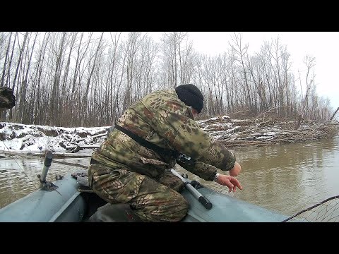 Видео: Нашел эту рыбу на быстрине! Рыбалка на Оби в ноябре.