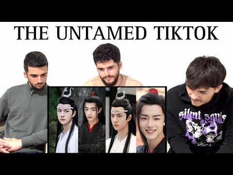 Видео: FNF реагирует на THE UNTAMED TIKTOK перед началом серии для @daimozone @pikeoffnf @PIKEMORE