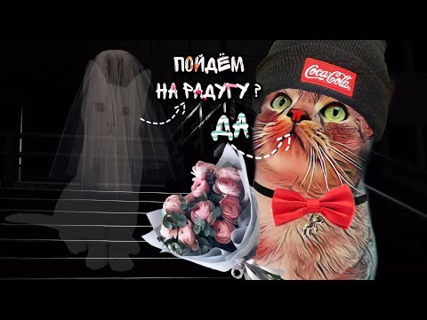 Видео: СВИДАНИЕ СЛАДУНА С КОШКОЙ-ПРИЗРАКОМ МУРКОЙ | кот стал призраком