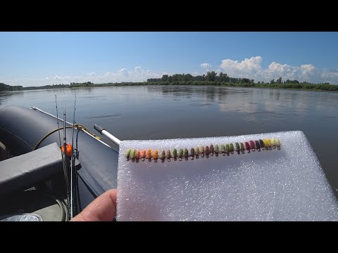 Видео: Долгожданная рыбалка с ночевкой на Енисее! Новое лицо на канале! Ловим хариуса, варим уху! (Часть 1)