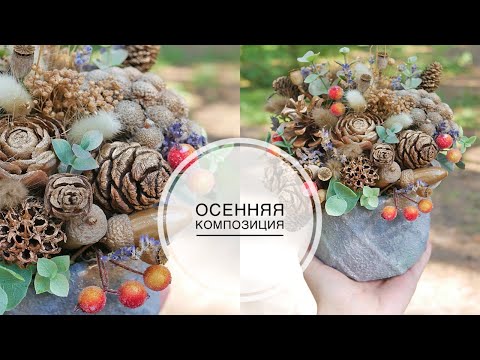 Видео: Autumn composition of cones and dried flowers / Осенняя композиция из шишек и сухоцветов DIY TSVORIC