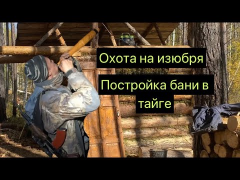 Видео: Охота на изюбря на реву. Постройка бани в тайге. Подготовка солонцов перед зимой.