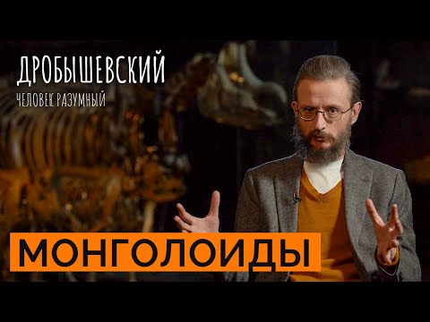Видео: Широкое тело, короткие ноги и уплощенное лицо — всё о монголоидной расе // Дробышевский