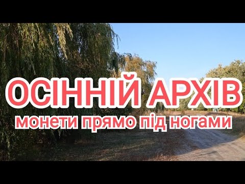 Видео: Пляжний осінній коп