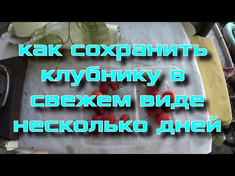 Видео: Как сохранить клубнику в свежем виде несколько дней.