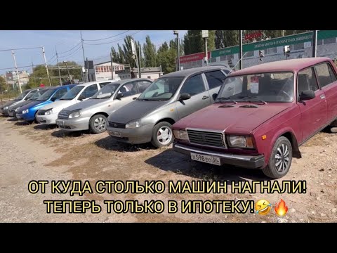 Видео: АВТОРЫНОК КУРАМ НА СМЕХ 😂!!! СВЕЖАК 5 МИНУТ НАЗАД!