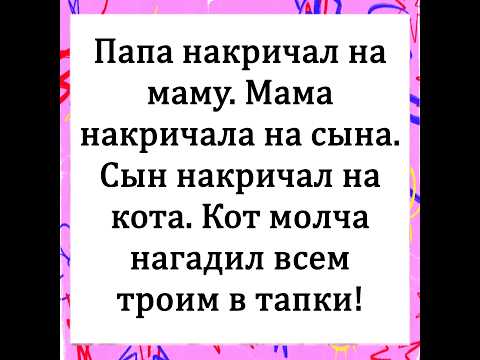 Видео: Анекдоты #юмор #смех #memes #jokes #funny