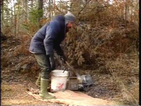 Видео: 5. Добыча псовых (Eng)