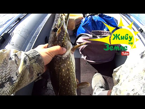 Видео: СПЛАВ ПО РЕКЕ. ЛОВЛЯ КРУПНОЙ ЩУКИ НА ВОБЛЕРЫ