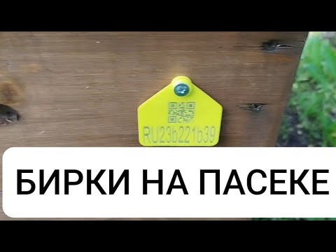 Видео: #91 Паспорт пасеки и чипирование 2025