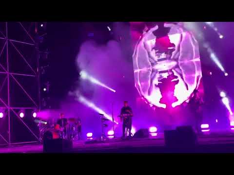 Видео: Дельфин - любовь (Москва, зеленый театр, 9 июня 2024)