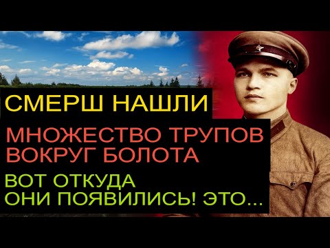 Видео: Болото выдало мёртвых. А правда — ещё страшнее»