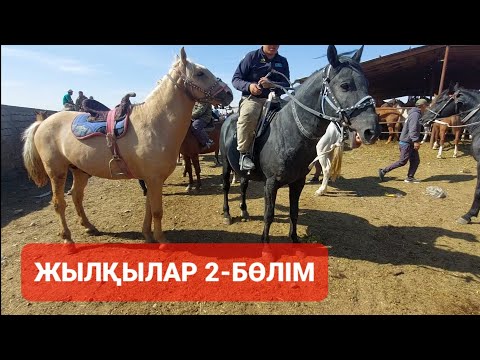 Видео: ЖЫЛҚЫЛАР 2-БӨЛІМ ШЫМКЕНТ