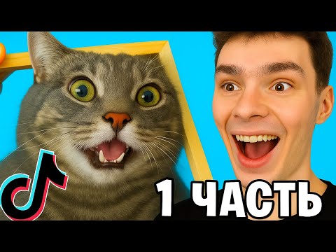 Видео: НЕ ЗАСМЕЙСЯ ЧЕЛЛЕНДЖ с КОТАМИ! 😂🐱 | Часть 1 — Я ВЫДЕРЖАЛ!