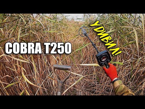 Видео: Раскопки на Железном озере с металлодетектором Cobra T250!