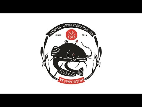 Видео: Ревизия четырёхлетней Осы-500